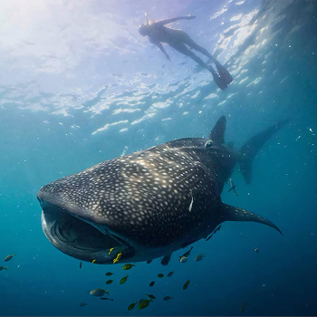 Programme Aquaviva gallery image 4