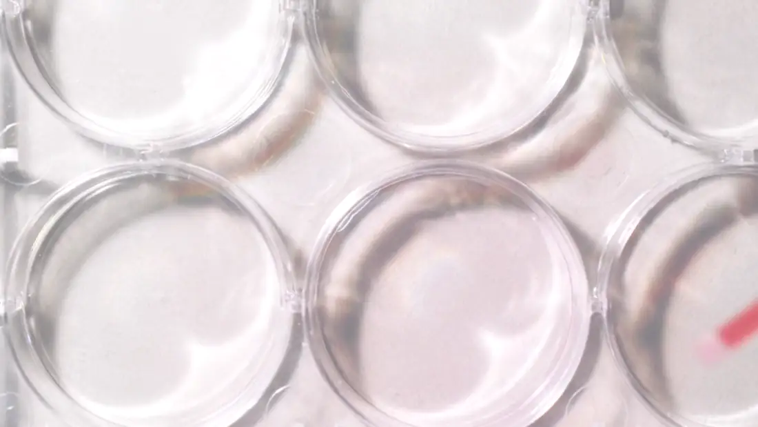 Bluerock Web & Branding