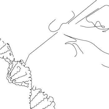 Bluerock Web & Branding gallery image 7