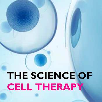 Bluerock Web & Branding gallery image 2