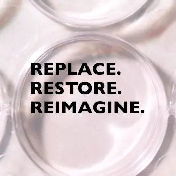 Bluerock Web & Branding gallery image 5