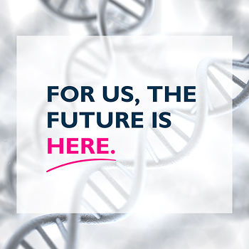 Bluerock Web & Branding gallery image 4