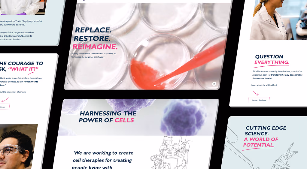 Bluerock Web & Branding